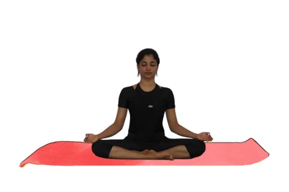 Pranayama & Meditation